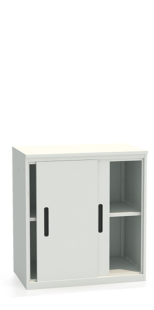 Шкаф-купе архивный ALS-8896 купить в Смоленске