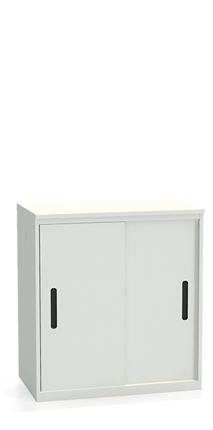 Шкаф-купе архивный ALS-8896 купить в Смоленске